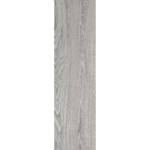 PAMESA - ASIA GREY 22x90