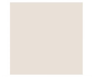 CX LUME 60X60 ABSOLUT BEGE A RT (2,5M2)