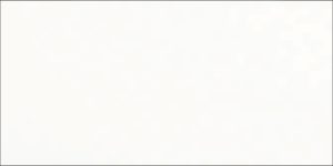 CX. PORTINARI 30X60 WHITE PLAIN MATTE BOLD (2,15M2)